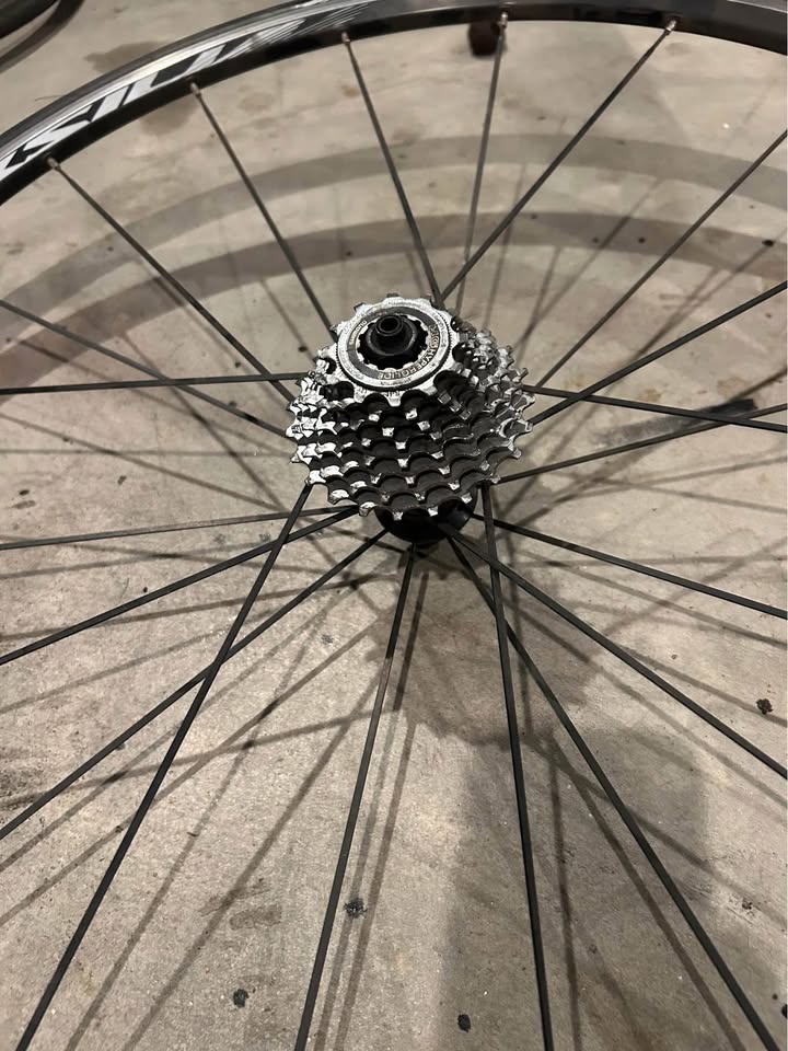 Pair of Mavic Aksium S[hidden information]C 700C bike wheels and tires